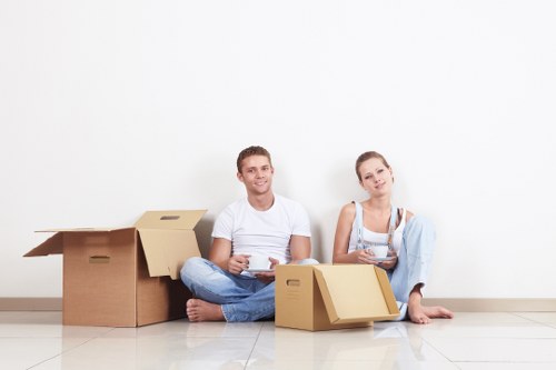 Van removal service handling boxes and furniture in Todenmark